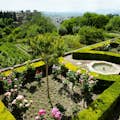 orchards of the generalife