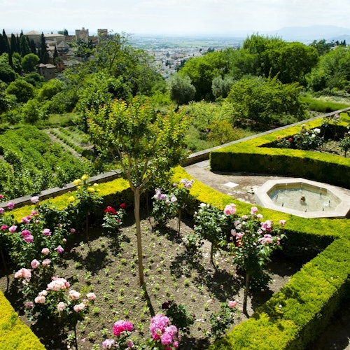 Alhambra: Tour guiado