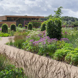 En trädgård med varierad grönska, lila blommor, en slingrande stig och en modern träbyggnad i bakgrunden under en molnig himmel.