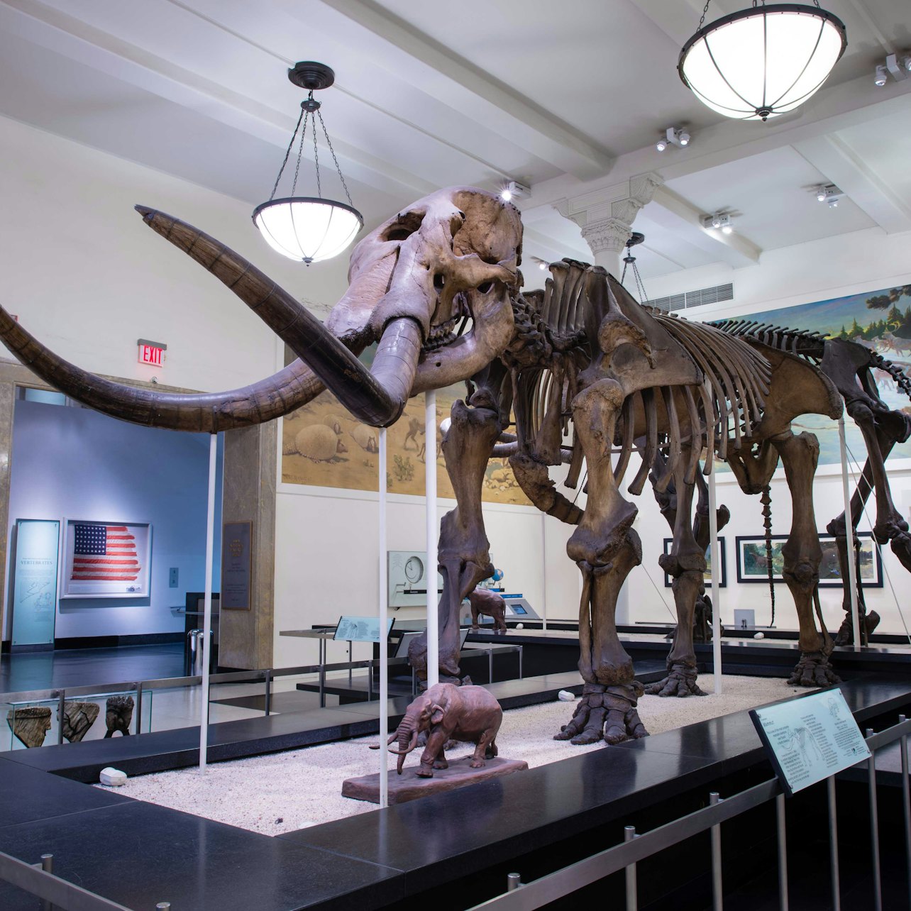 Museo Americano de Historia Natural de Nueva York - Alojamientos en Nueva York