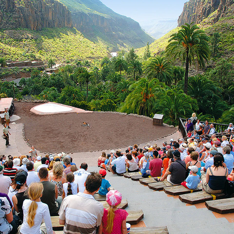 An outdoor amphitheater with a large crowd watching a performance, surrounded by lush greenery and mountains in the background.