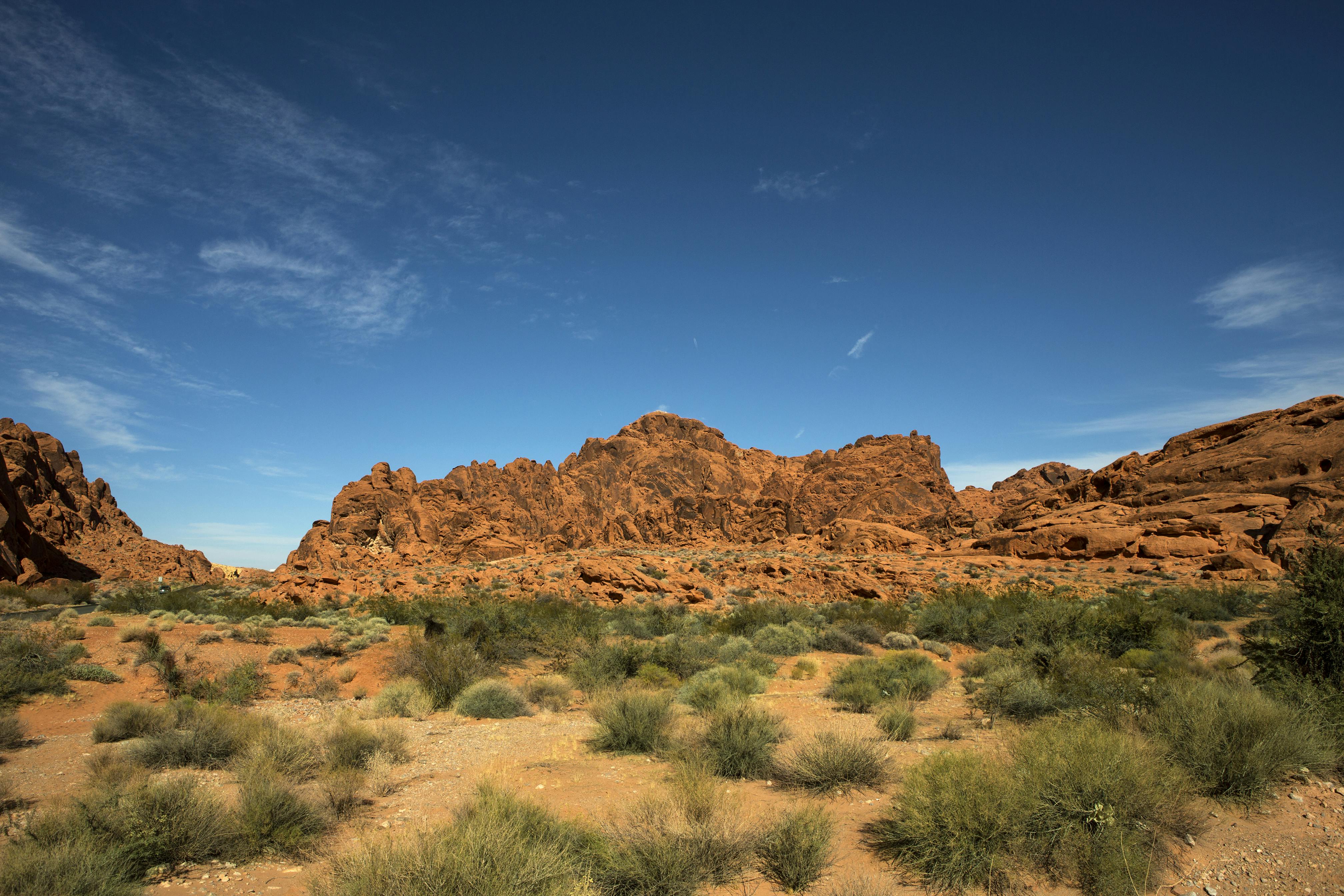 Un paesaggio desertico con formazioni rocciose rosse e radi arbusti verdi sotto un cielo azzurro chiaro con nuvole sparse.