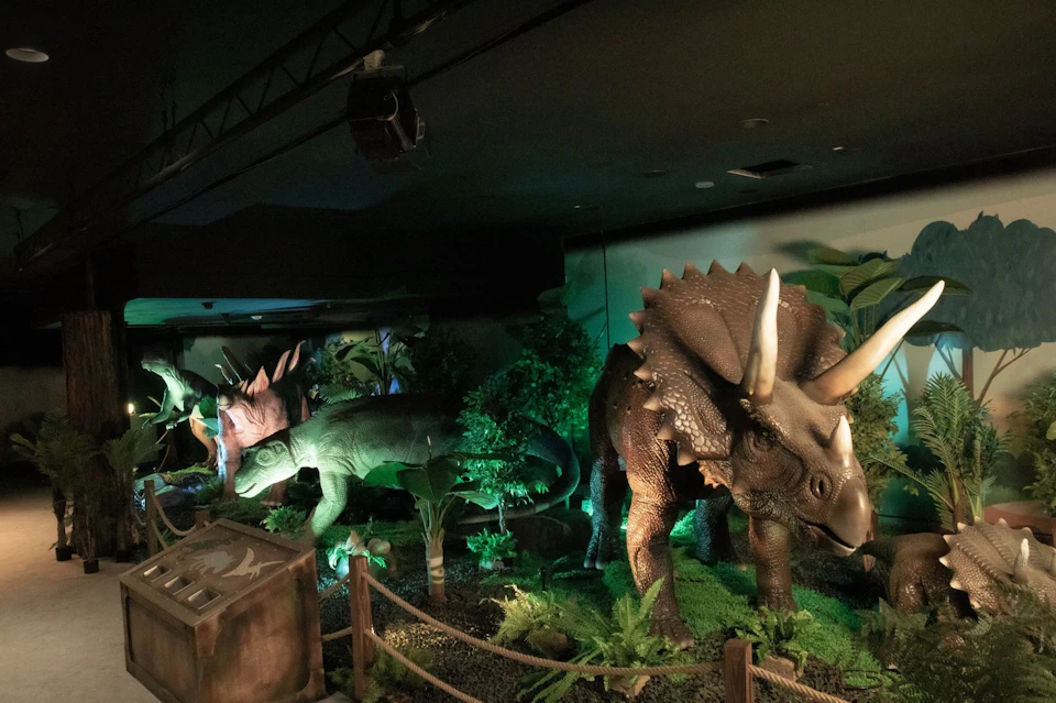 Dinosaur meadow