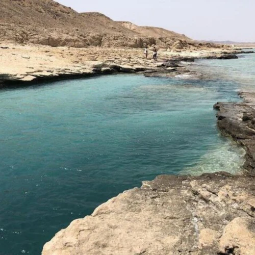 Parque Nacional Wady Elgemal - Photo 7