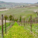 Toscana