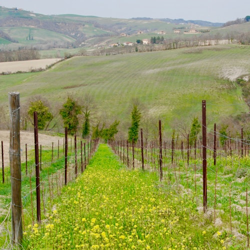 Toscana