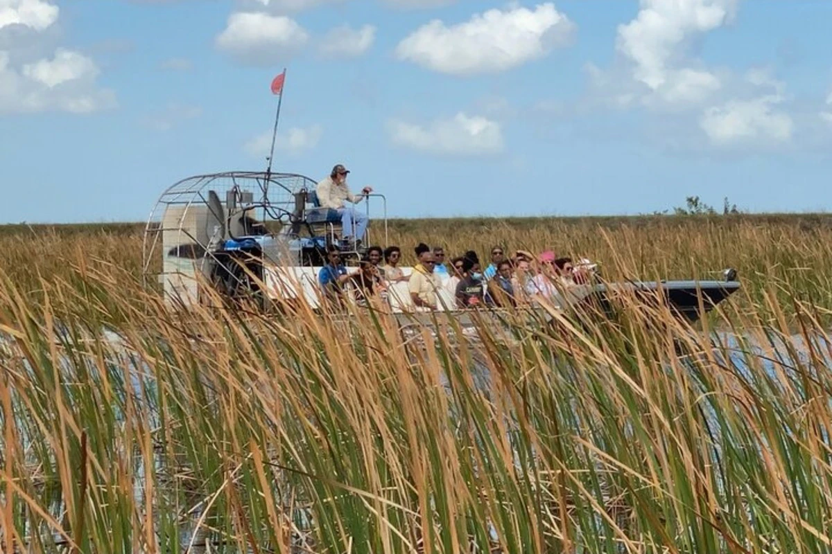Miami: Everglades National Park Guided Tour + Airboat Ride from South Beach