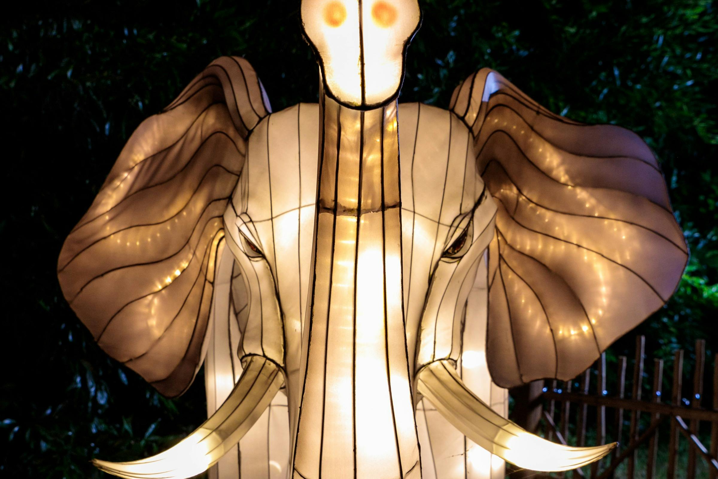 マイアミ動物園の灯り