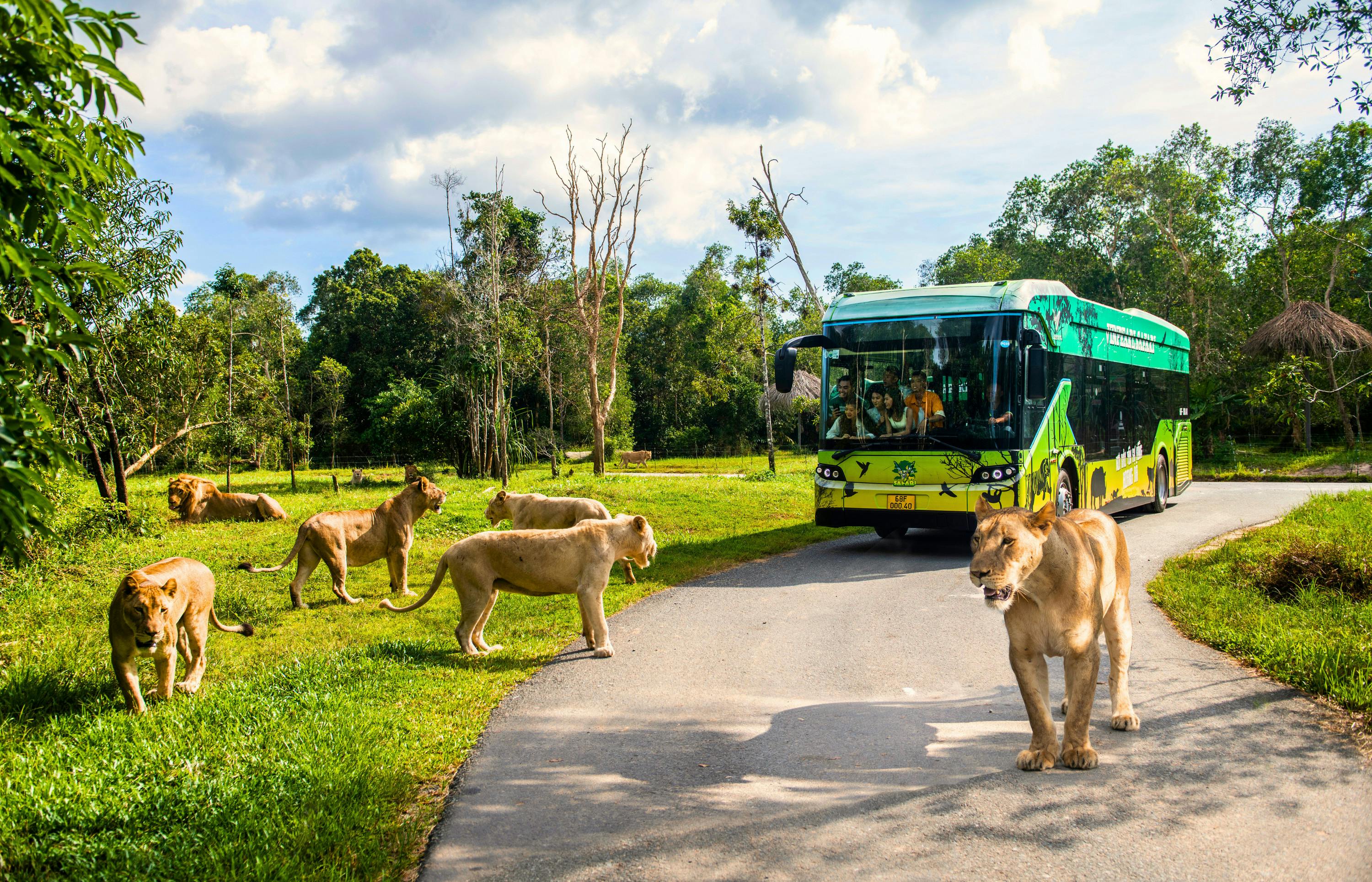 Vinpearl Safari Phu Quoc: Night Safari Ticket