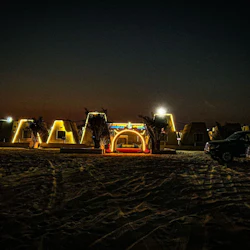 Dubai: Morning City Tour & Evening Desert Safari Combo 3