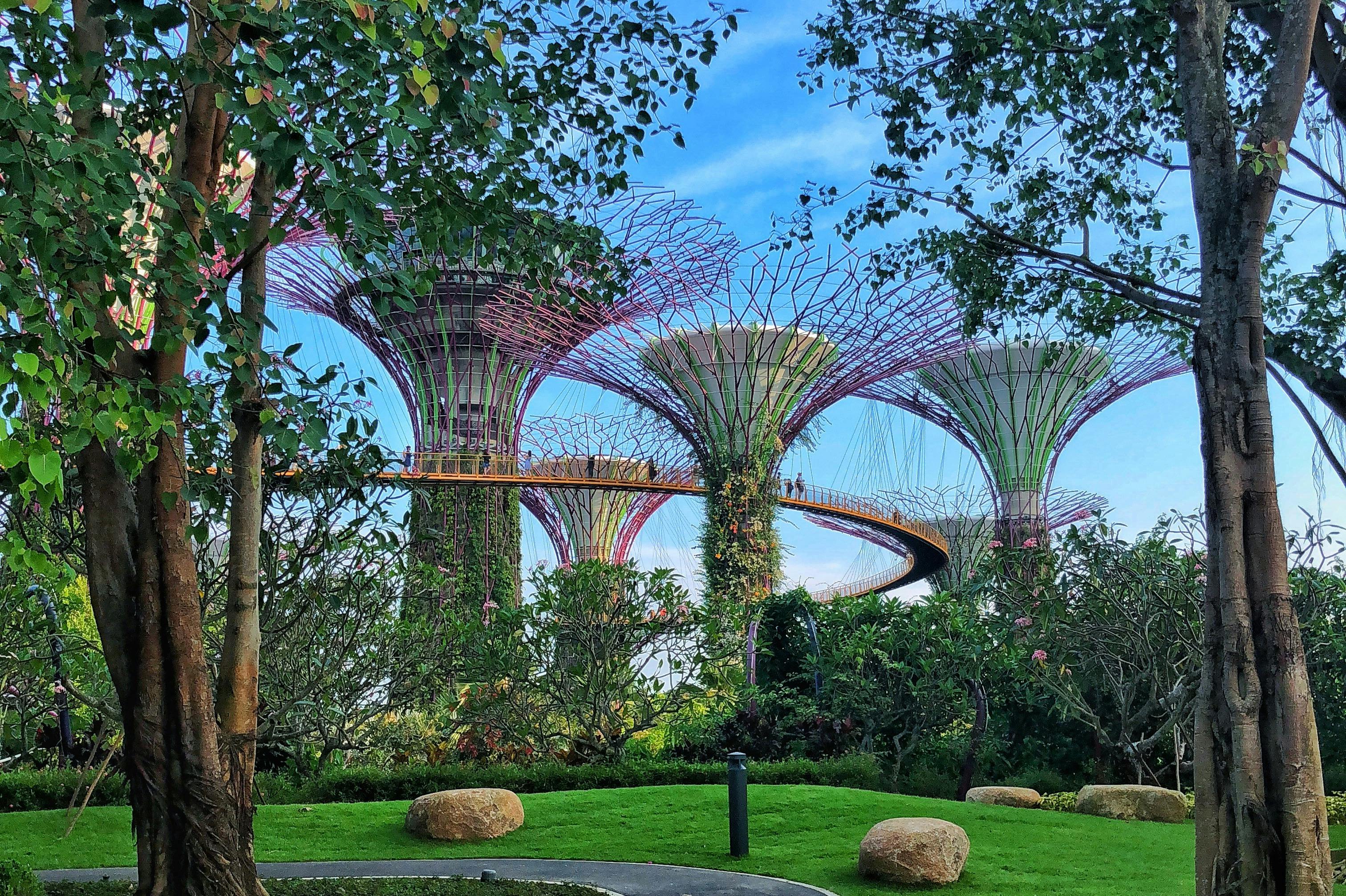 シンガポール：ガーデンズ・バイ・ザ・ベイ・ツアー：スーパーツリー、フラワードーム、クラウドフォレスト