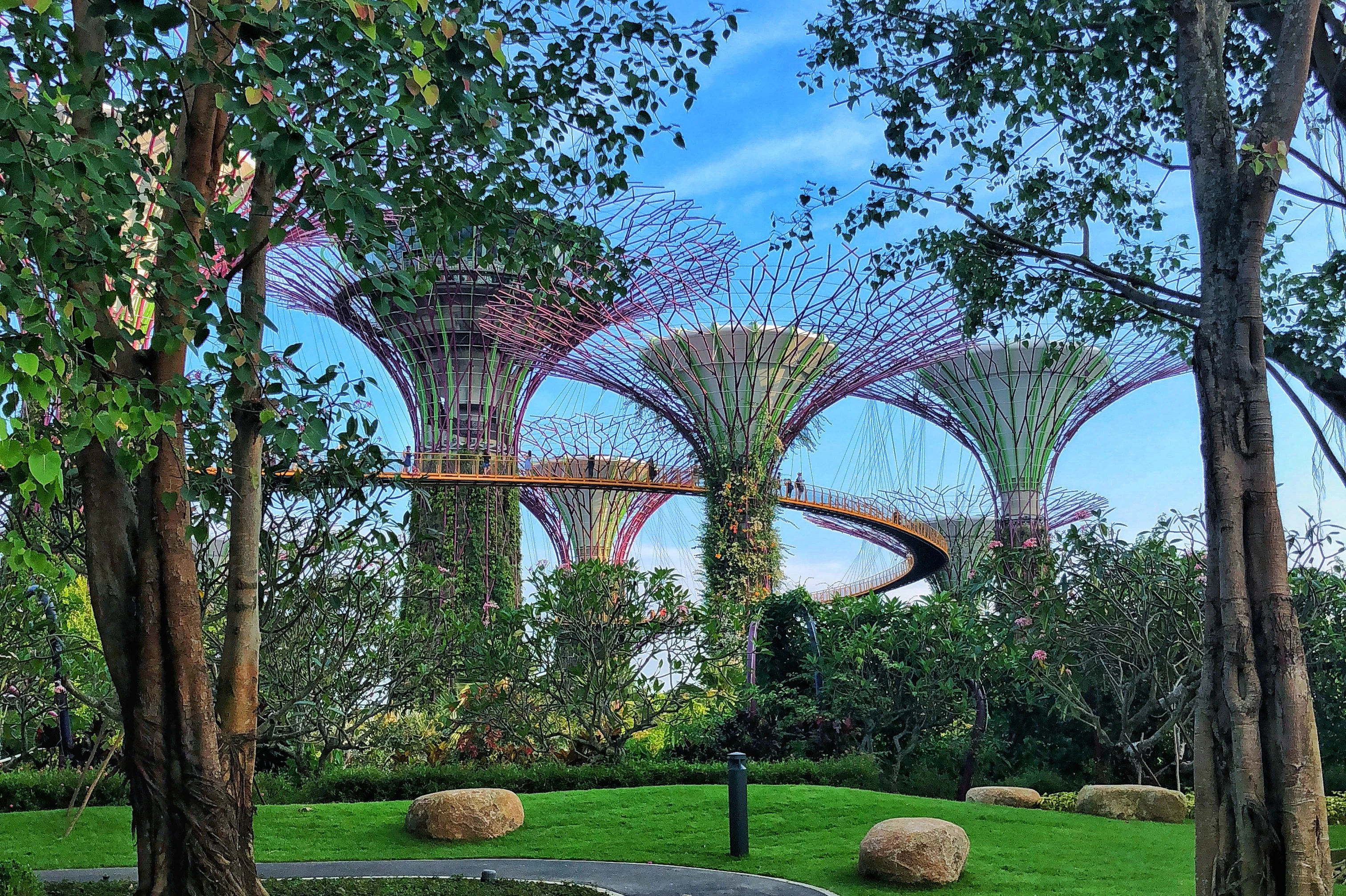 Gardens by the Bay: Guided Tour