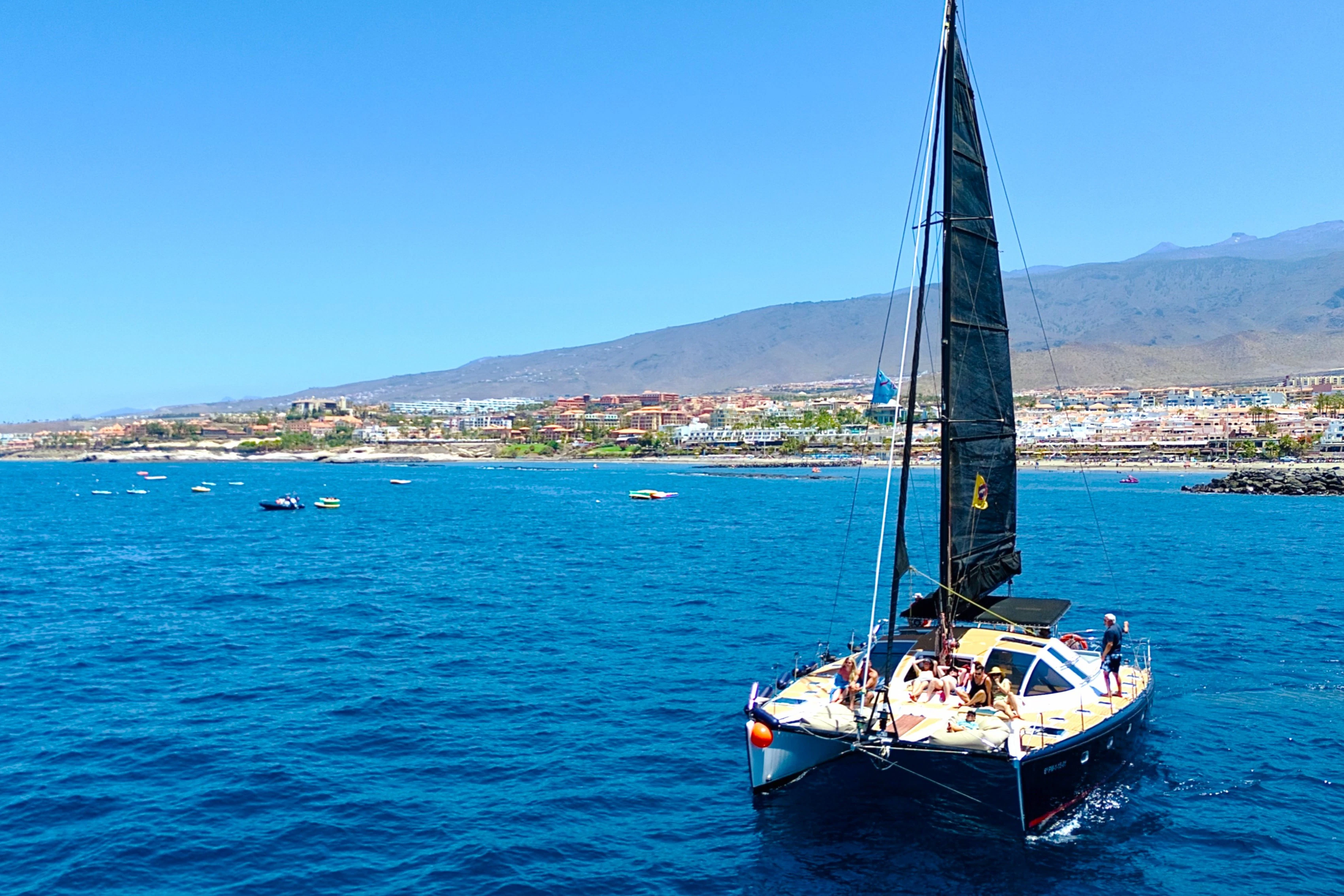 Tenerife: 3-Hour Whale & Dolphin Watching Catamaran Tour with Catering