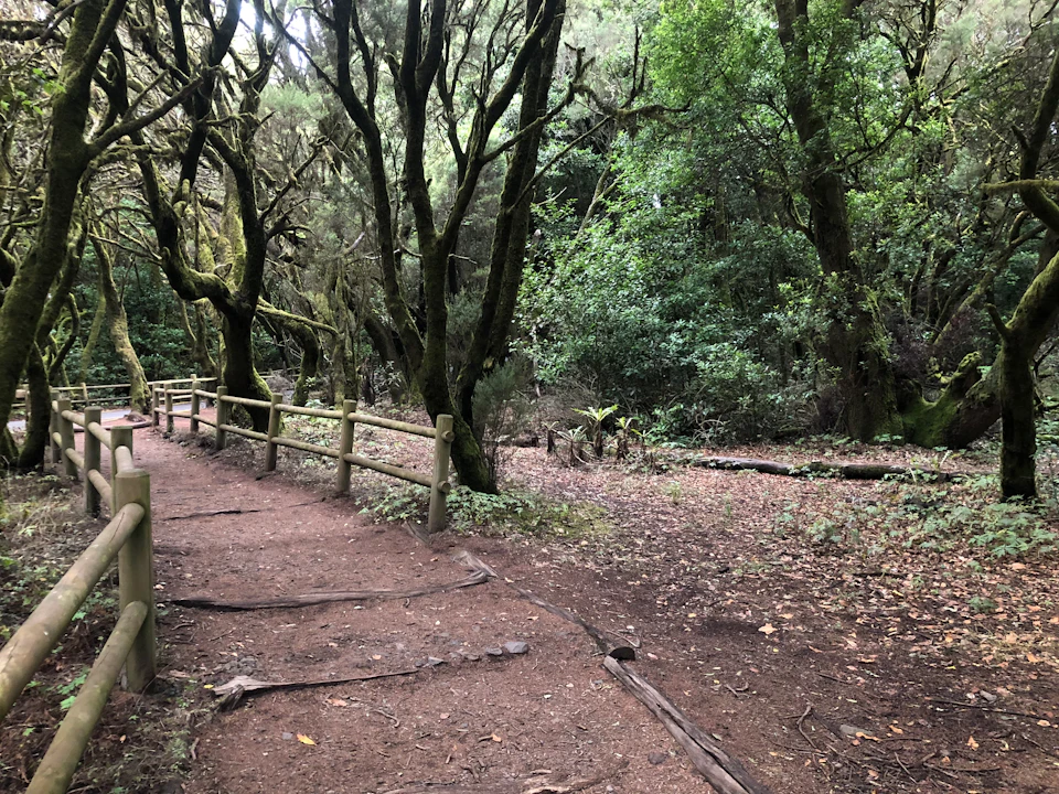 Garajonay National Park