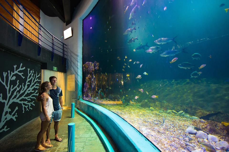 Cancun Interactive Aquarium Trek