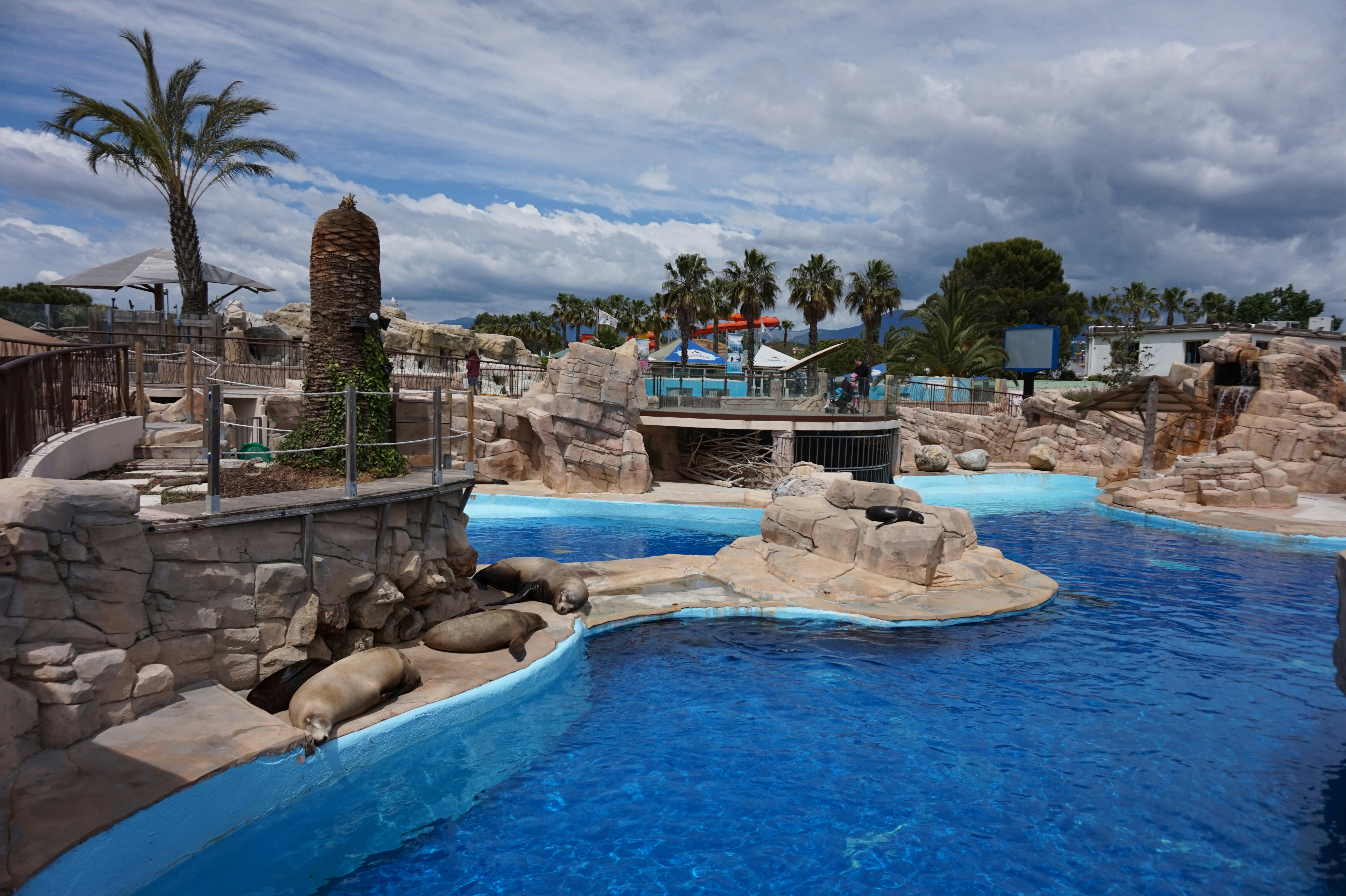 Tickets for Marineland Côte d'Azur Tiqets