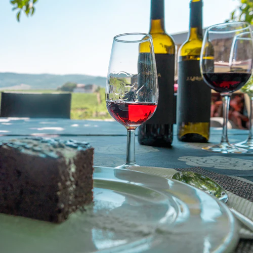 Vale do Douro: excursão + passeio de barco e almoço desde o Porto - Photo 12