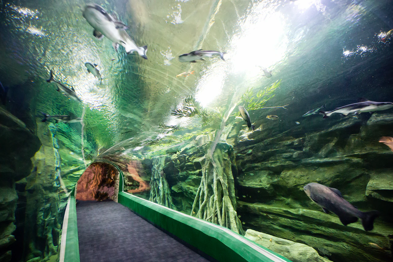 Lotte World Aquarium: Entry Ticket