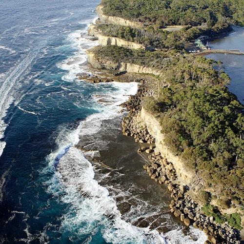 Bruny Island: Guided Food Tour from Hobart + Ferry Ride + Bligh Museum Entry