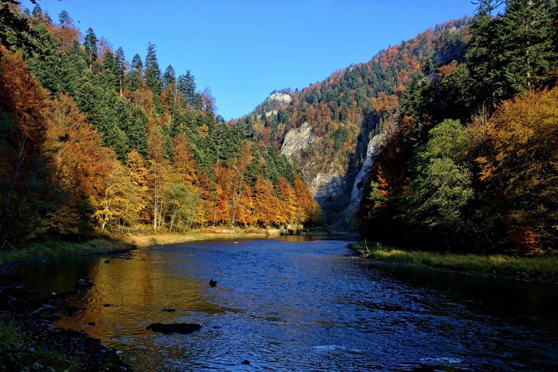 Dunajec River