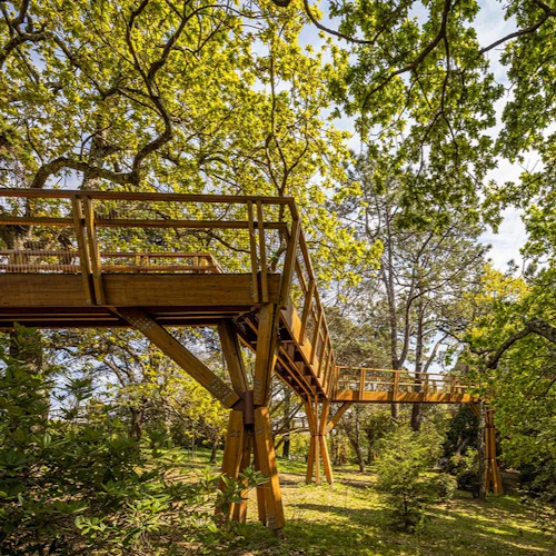 Serralves Park: Entry Ticket and Treetop Walk - Photo 5