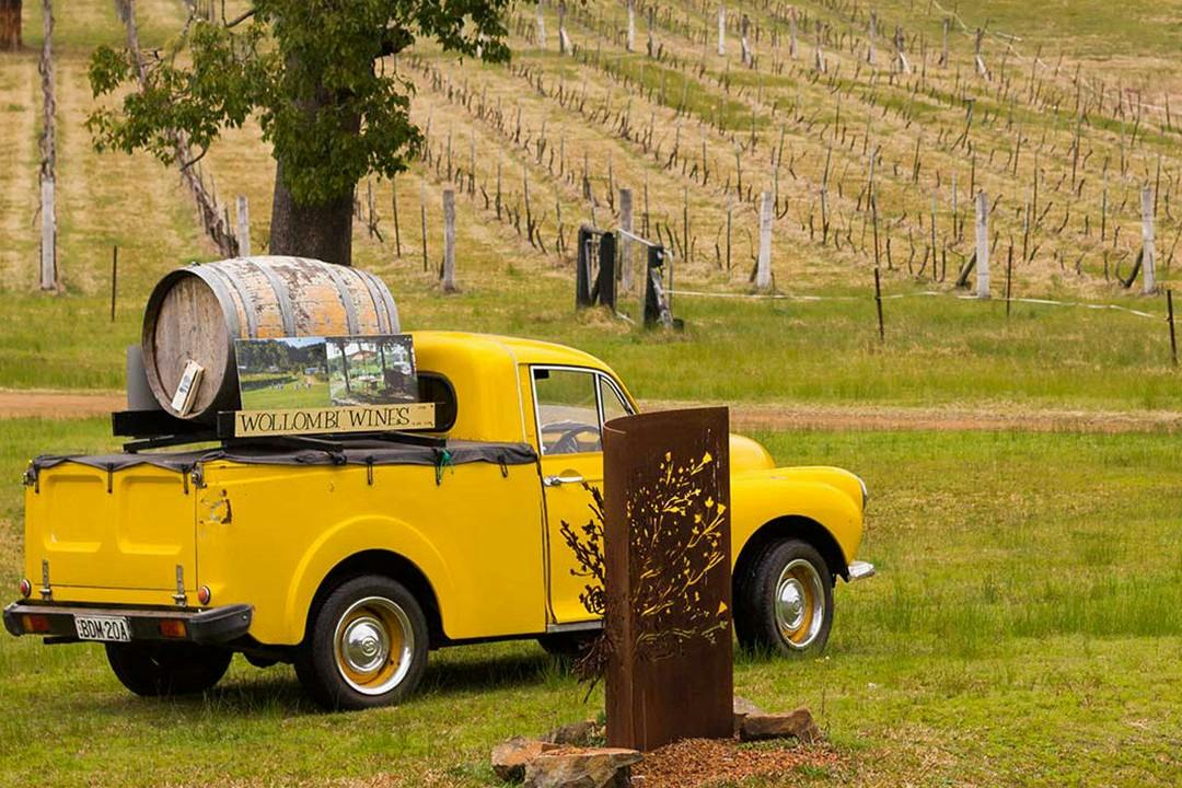 A yellow vintage truck in a vineyard with a barrel in its bed, a Wollombi Wines sign, and a decorative metal panel in the foreground.