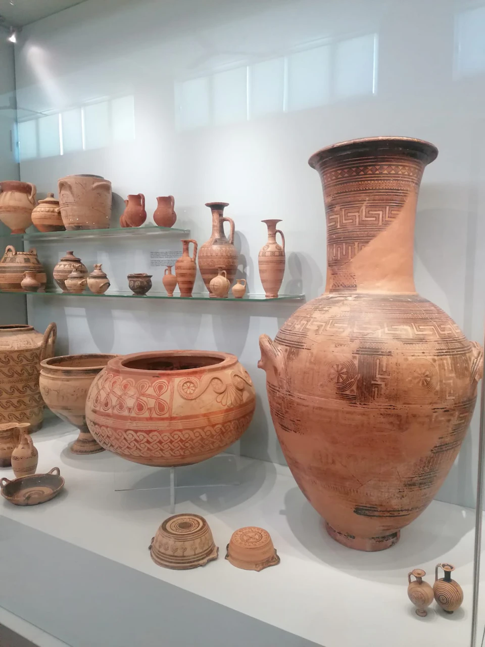 Display of ancient pottery in a museum, featuring large, ornately decorated vases and jars on shelves and a white counter.