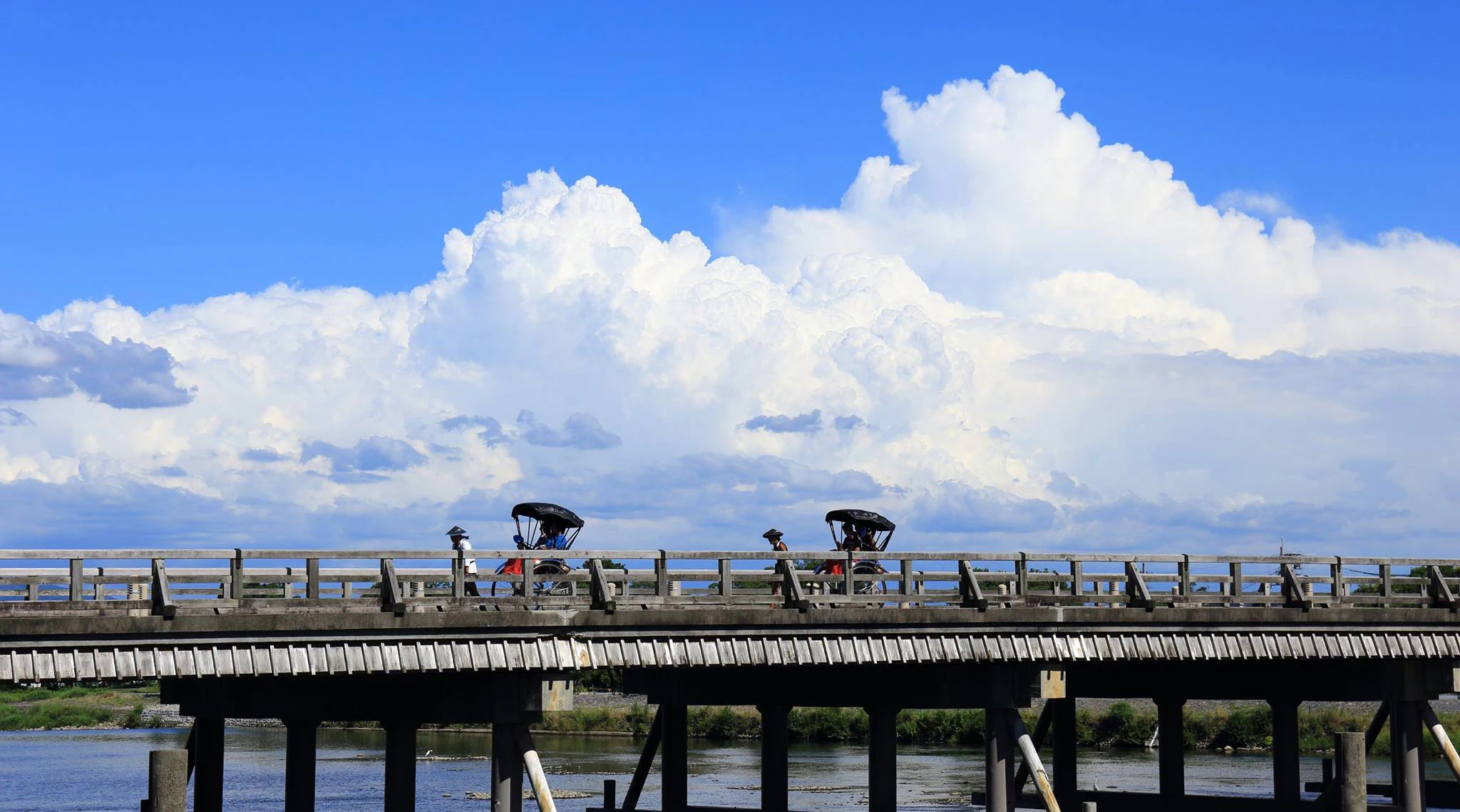 Kyoto Arashiyama: 70-Minute Rickshaw Tour