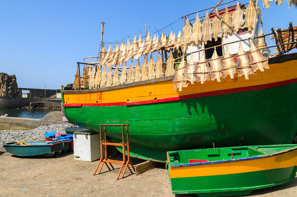 Camara de Lobos fishing boats