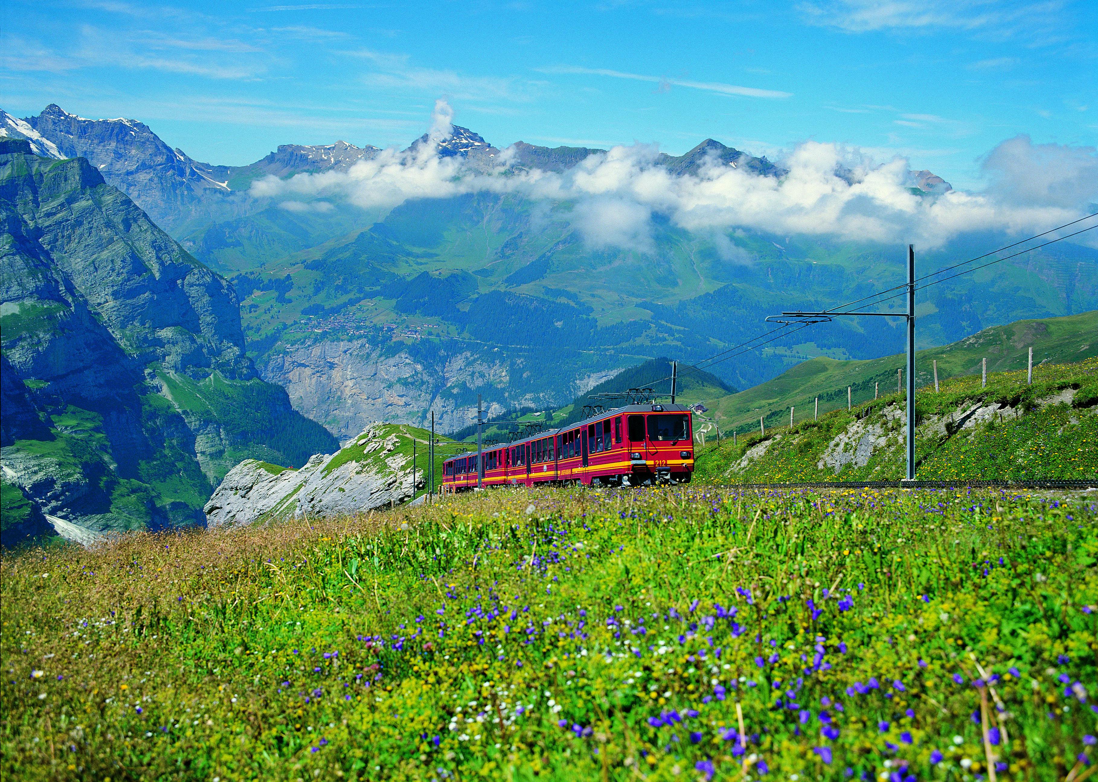 青空の下、雄大な山々を背景に、鮮やかな緑と花々に囲まれた草原を赤い列車が走り抜けます。