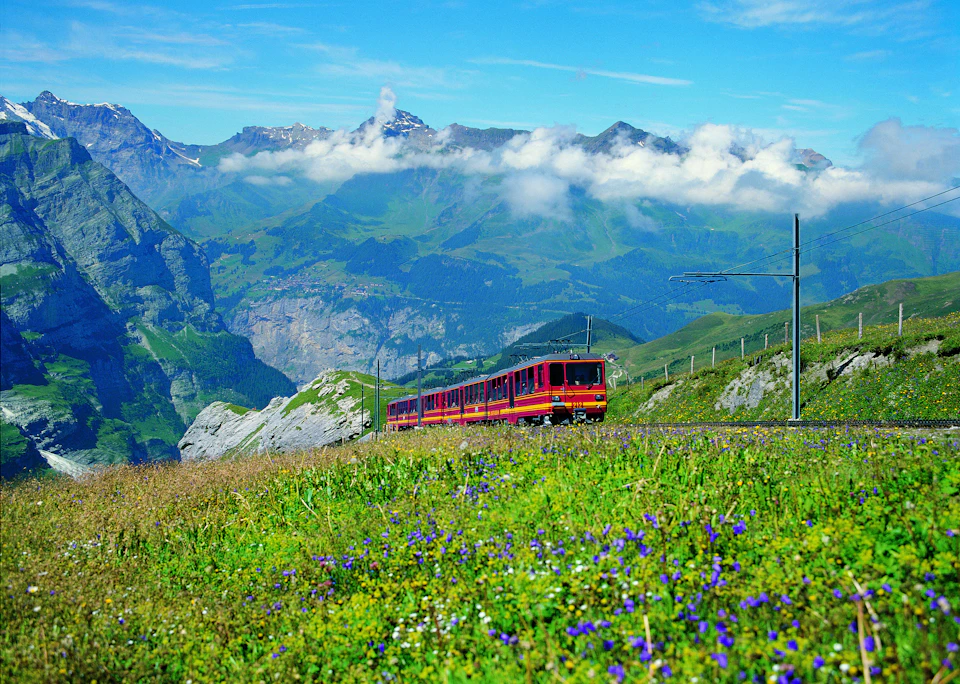A red train travels through a vibrant green and flower-filled meadow with majestic mountains in the background under a blue sky.