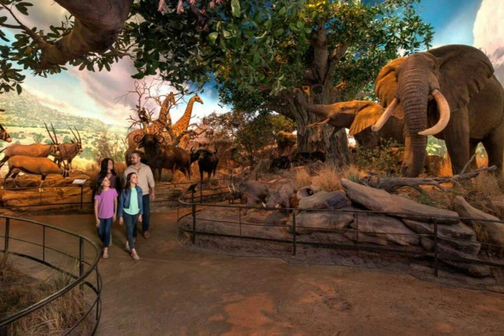 A family walking through a natural history exhibit featuring lifelike animal models and a backdrop of trees and savanna.