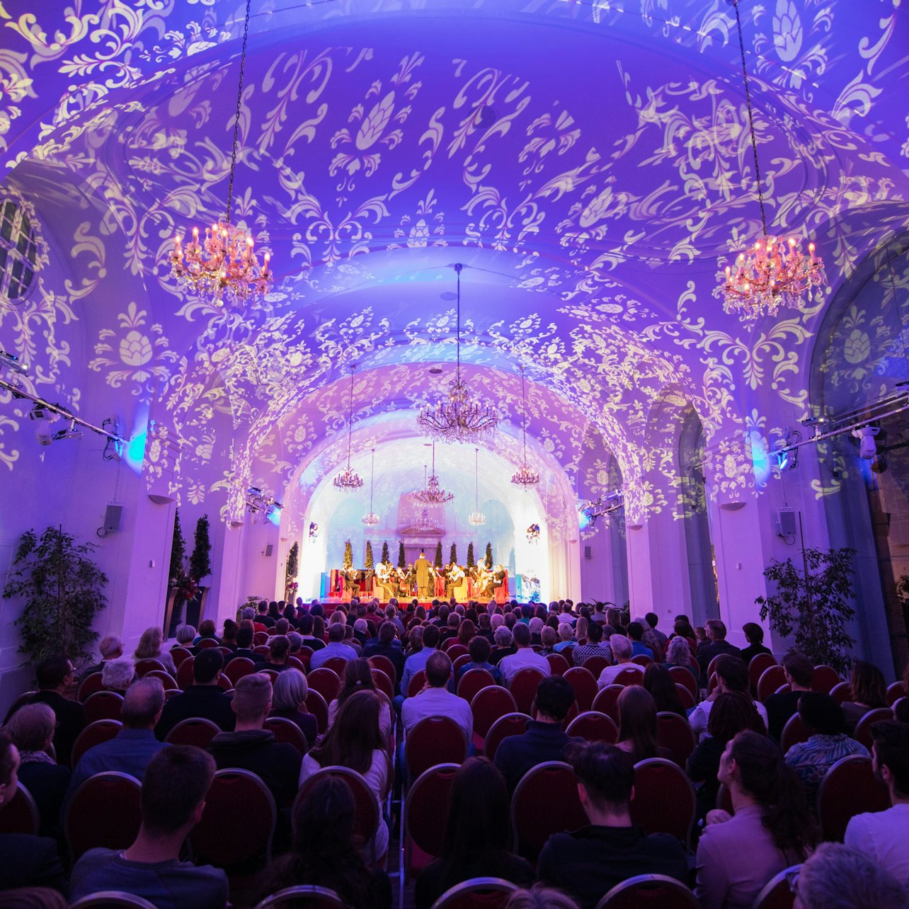 Una noche en Schönbrunn: Cena y concierto - Alojamientos en Viena