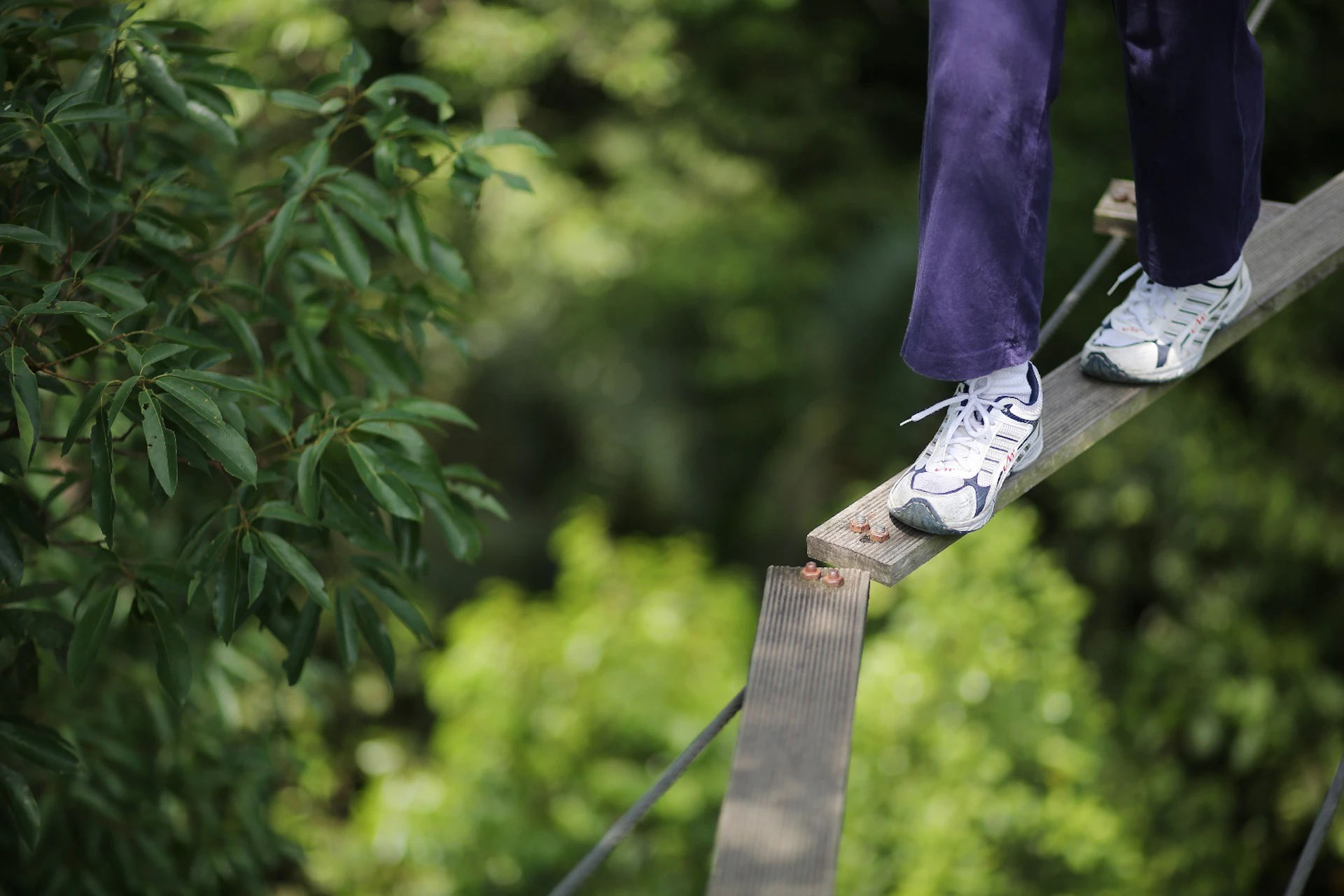 A person wearing purple pants and white sneakers walking on a narrow wooden plank in a green outdoor setting.