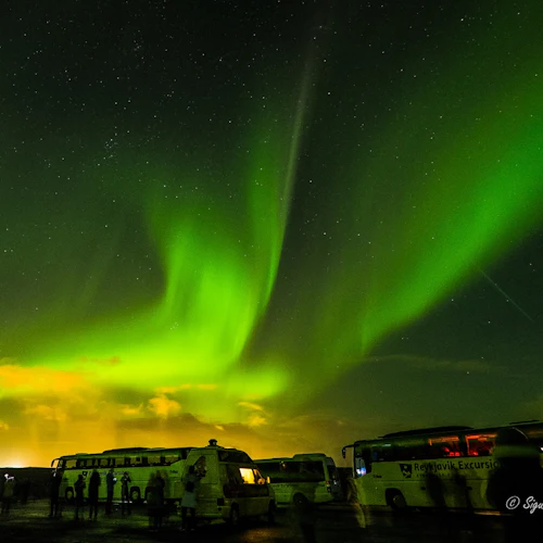 Aurora boreal: Passeio de ônibus de 3 horas + traslado - Photo 6