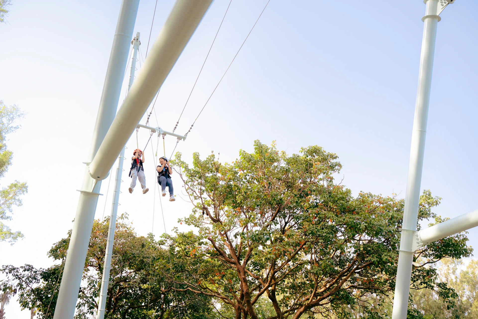 Two people are zip-lining high above trees against a clear sky.
