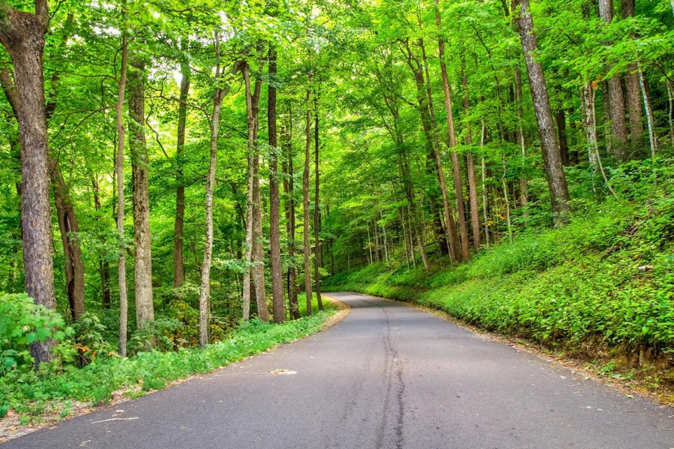 Great Smoky Mountains