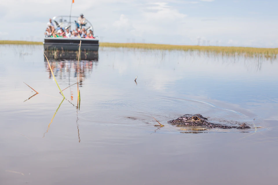Sawgrass Recreation Park