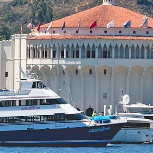 Catalina Island: Day Trip with Zipline Eco Tour - Photo 7