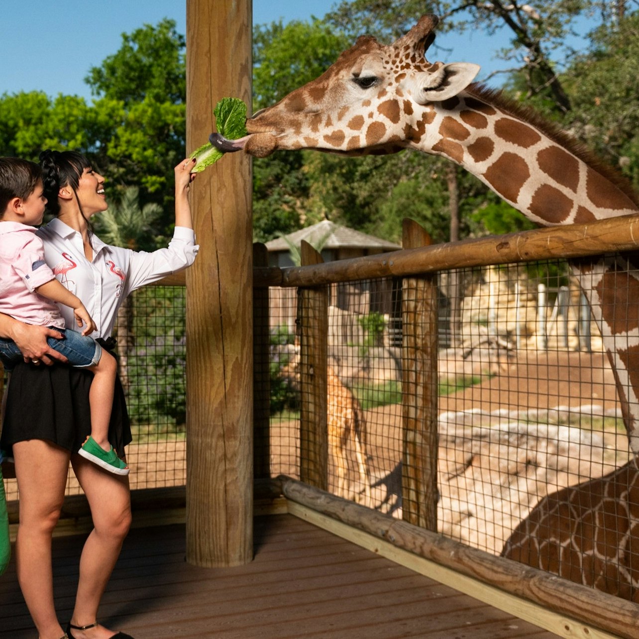 Ingresso flexível para qualquer dia do San Antonio Zoo - Acomodações em San Antonio