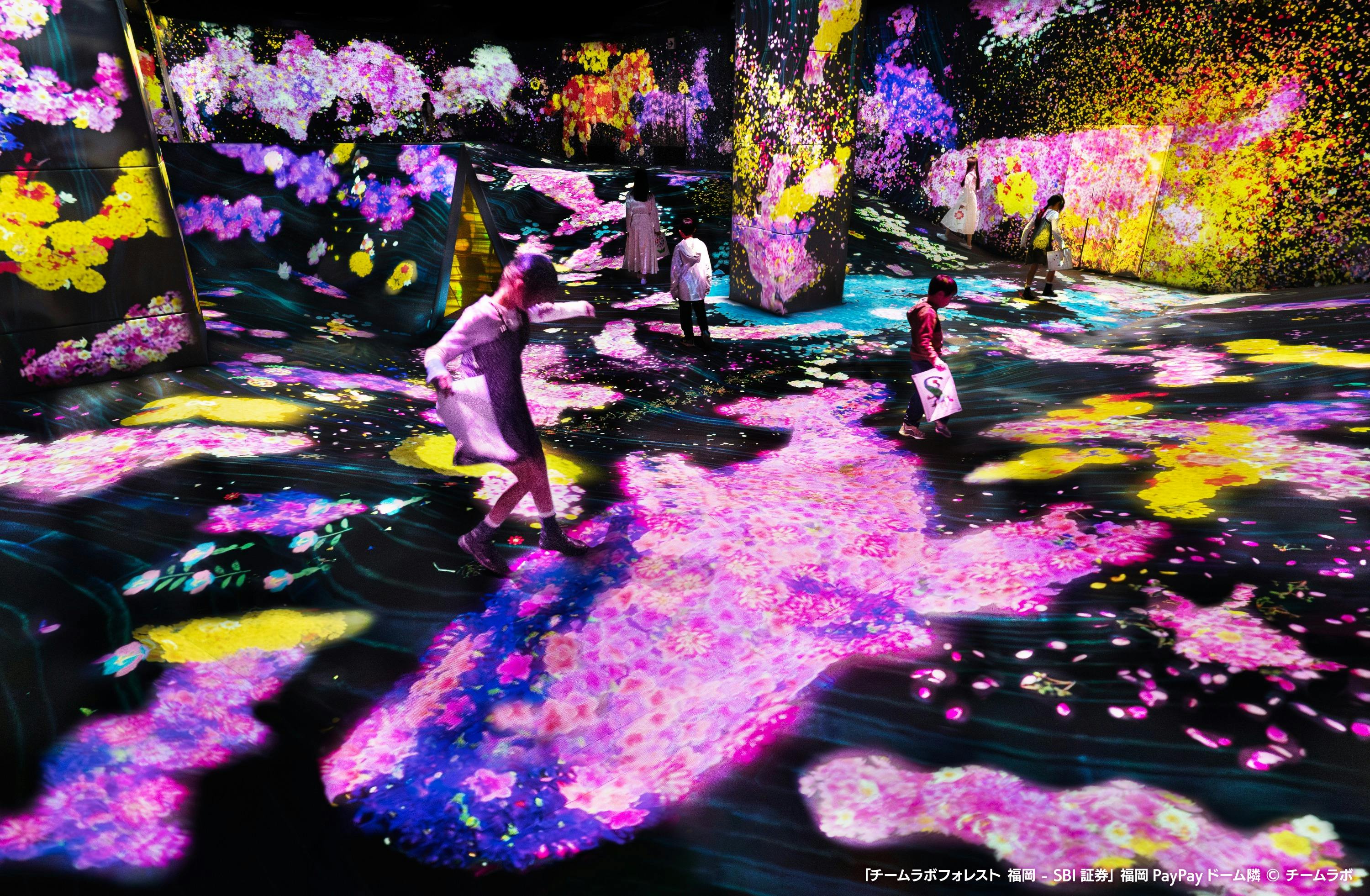 TeamLab Forest Fukuoka: Bilhete de entrada