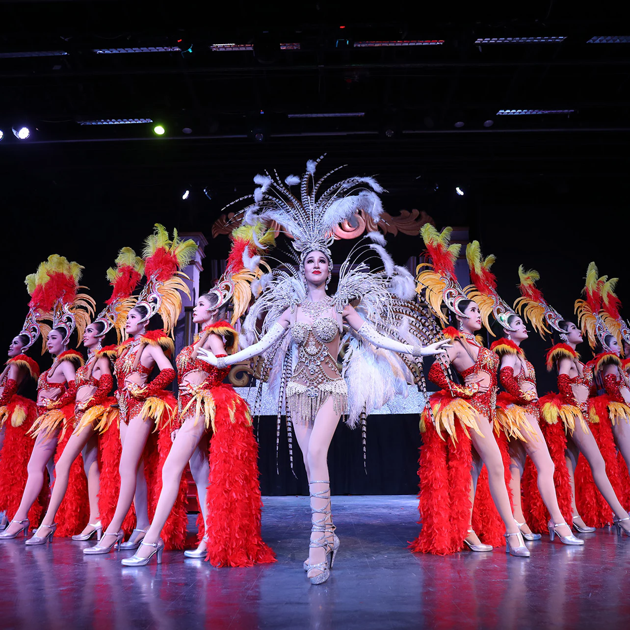 A group of performers in elaborate costumes with feathers and sequins on stage under dramatic lighting.