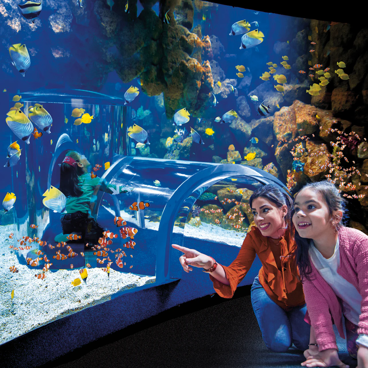 Poema del Mar - Aquarium Gran Canaria: Skip The Line Ticket