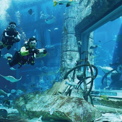 Dubai Aquarium & Underwater Zoo: Platinum Pass 3