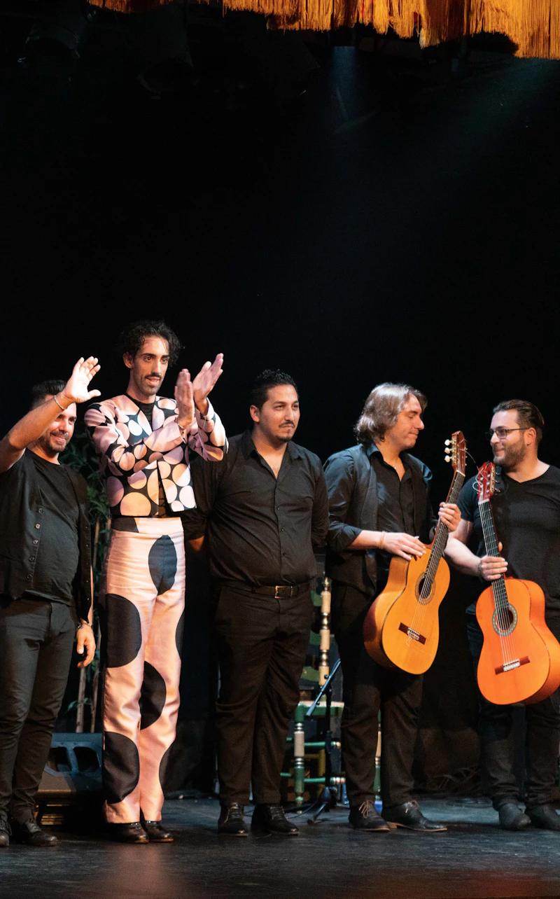 מופע פלמנקו בתיאטרון עיריית ברצלונה – כרטיסים ומחירים בBarcelona — תמונה 4