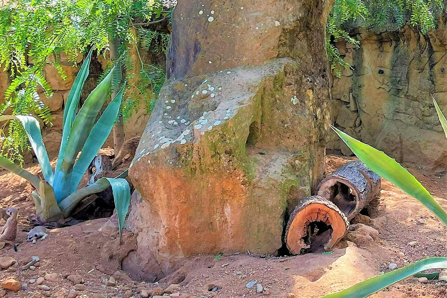 Enclosures custom-made for specific animals