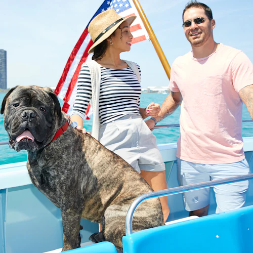 Chicago: Cruzeiro Canino - Photo 6