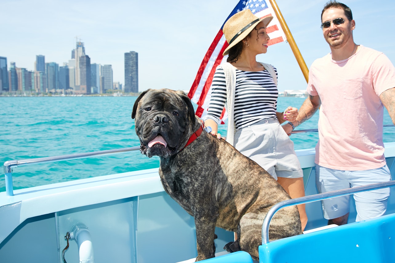 Chicago: Cruzeiro Canino - Acomodações em Chicago
