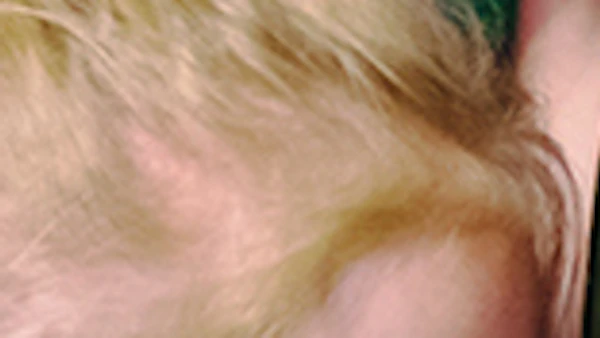 Aanbieding: London Eye tickets