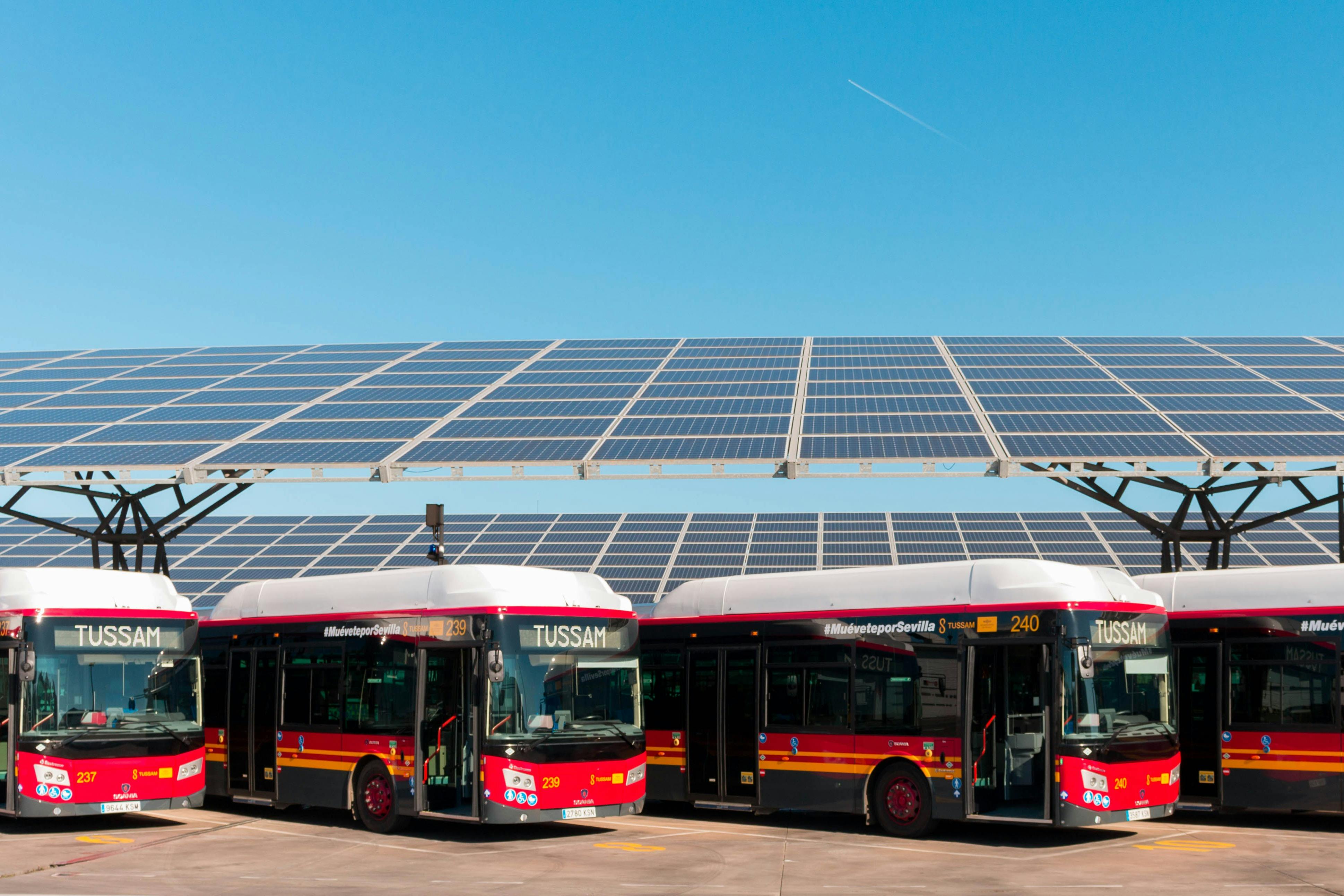 Siviglia Tussam Autobus